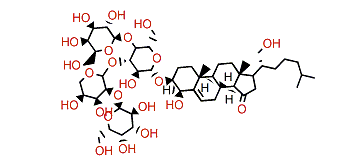 Mycaloside G